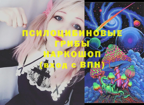 apvp Волоколамск