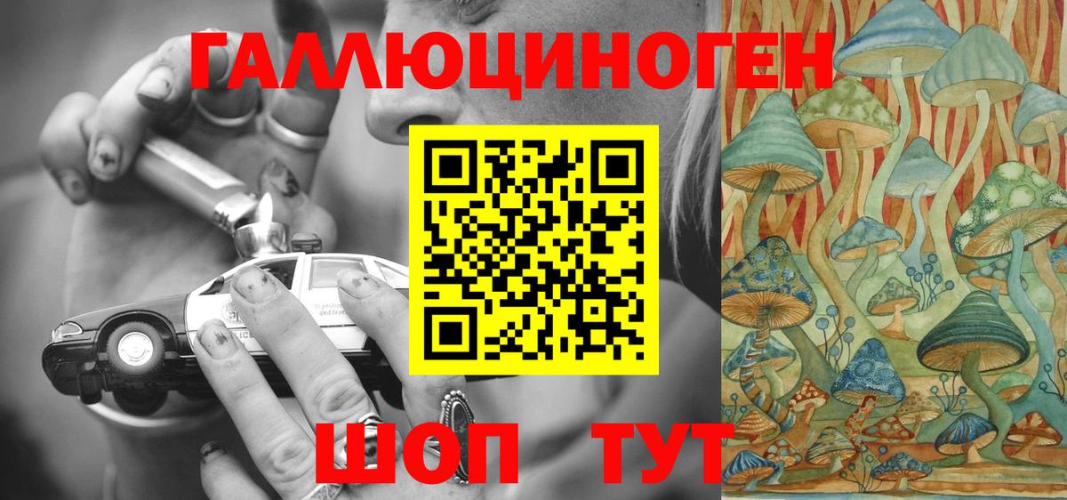 Псилоцибиновые грибы Magic Shrooms  наркотики  Шадринск  Вход с VPN 