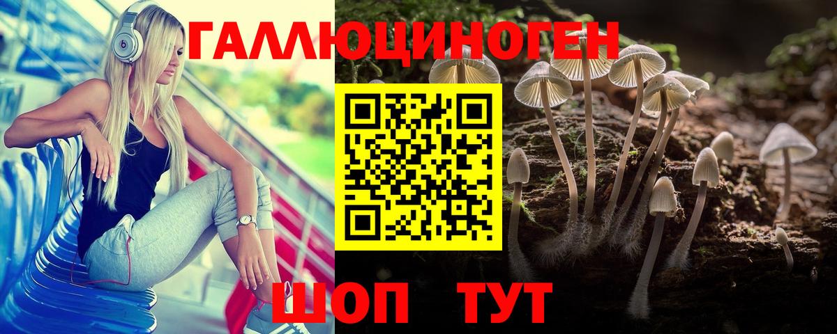 Псилоцибиновые грибы прущие грибы Шадринск