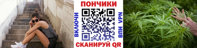 shop как зайти  Шадринск  Бошки Шишки OG Kush 
